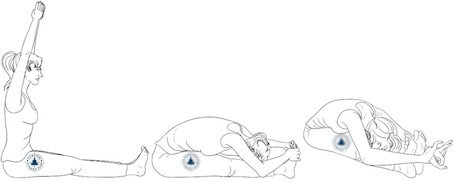 15, Seated Forward Bend, Beginner Yoga for Flexibility and Strength, Survival Fitness Plan