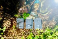 Free Tarot Reading – What energy is around me today?