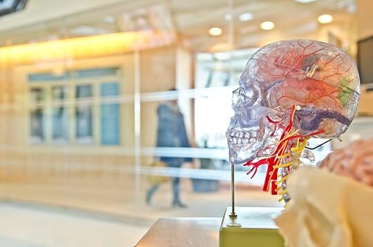 How Addiction affects your brain. But have you ever wondered how? Addiction Spectrum - Dr Paull Approved. Photo courtesy of Jesse Orrico via Unsplash