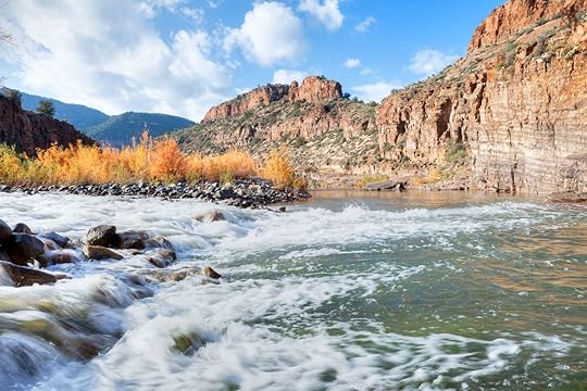 Tubing down Salt River, AZ