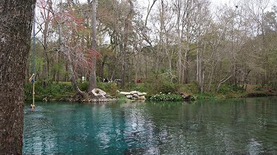 Tubing down Ginnie Springs