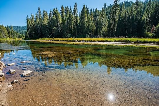Tubing down Truckee River