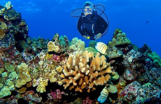 Scuba Diver in Kona Reef