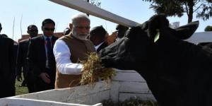 Prime Minister Narendra Modi, Rwanda, Girinka, Kulbushan Jadav, Waseem Rizvi, UP Shia Waqf Board, Islam, IndianExpress, The Hindu, Times of India, Hindustan Times, 1857 War of Independence, British Empire, Article 48, Indian Constitution, pitra-paksh, Hindu Pakistan, Hindu Taliban, Pakistan, Bangladesh, Uniform Civil Code, Polygamy, US, Sharia, Quranic