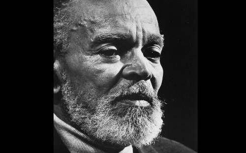  photo ChesterHimes_zpscc19398d.jpg