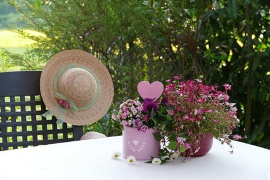 Lily The Mending of Lillian Cathleen friends