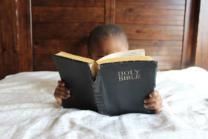 Moses Author Pentateuch