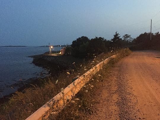 Evening on Brier Island