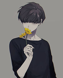 Image result for ããã·ã¥ ã¤ã©ã¹ã ç·