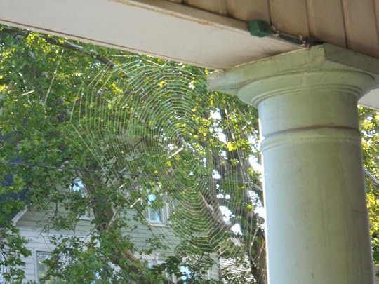DSCN1826