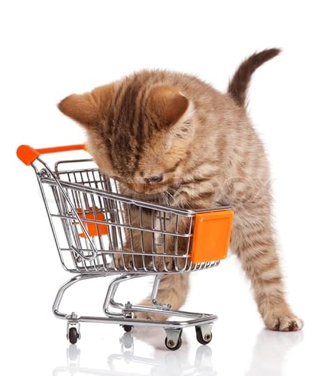 Image result for cats shopping