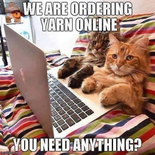 Image result for cats shopping