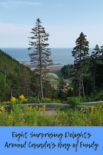 Eight Surprising Delights Around Canada's Bay of Fundy