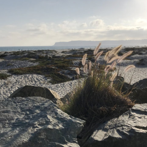 Coronado Island
