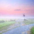 misty morning scene with windmill in background