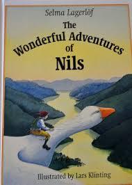 Nils Book cover