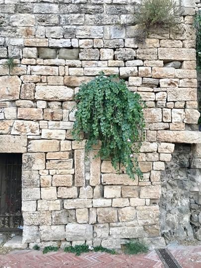 Trattoria Piero e Silvana Todi