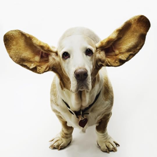 ears.jpg
