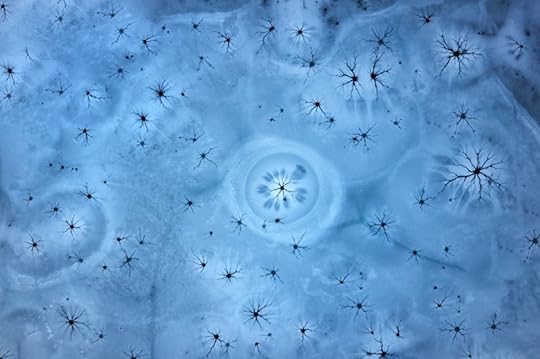 Abstract runner up Drone Awards 2018