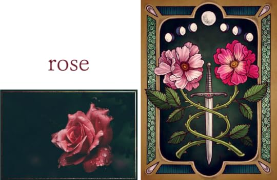 Rose The Illustrated Herbiary