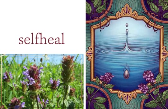 Selfheal The Illustrated Herbiary