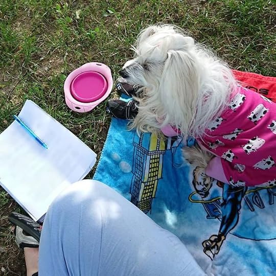 Sitting outside with Petal to edit my manuscript for a change of scenery and because she likes it outside – at least for a bit. (Smiling)<br />.<br />.<br />.<br />#petalrainfield #chinesecrested #hairyhairless #dogstagram #ilovemydog #ilovemychinesecresteddog #dogmom<br />#cherylrainfield #YAwriter #LGBTQwriter #booknerd #bookworm #ireadYA #survivor #feminist