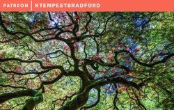 Monthly Microfiction – July 2018 [Patrons Only]