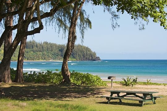 Halalei Bay, Kauai, beach with picnic table