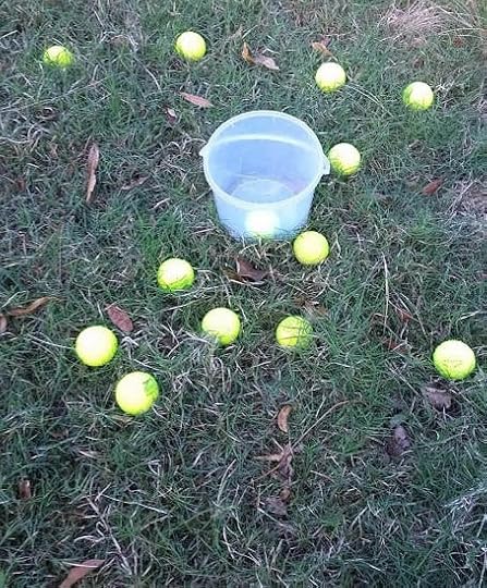 Tennnis balls and bucket