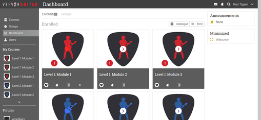 veevar guitar course review