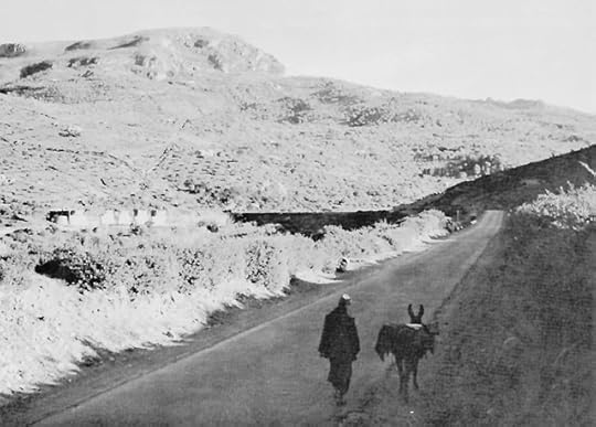 San Fratello Ridge, Sicily (US Army Center of Military History)