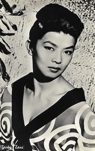 Yoko Tani