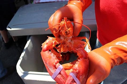 Maine Lobster Festival
