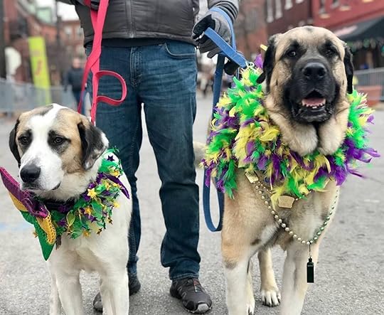 Mardi Gras in Missouri