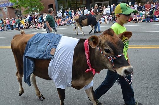Strolling of the Heifers festival