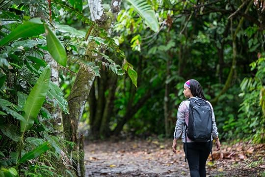 Eagle Creek wayfinder backpack
