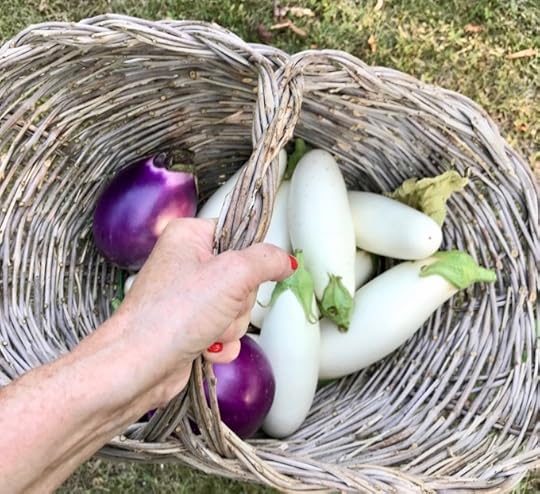 Roasted Eggplants and Tomatoes