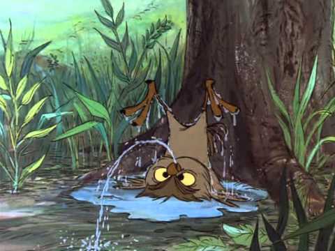 Image result for archimedes owl