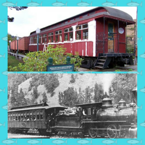 image of trains to Russian River