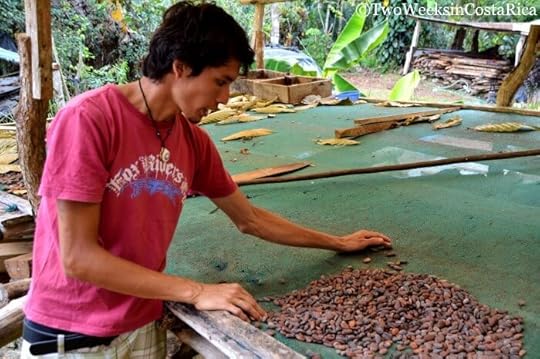 Why Costa Rica is the Perfect Destination Families - Chocolate Tour