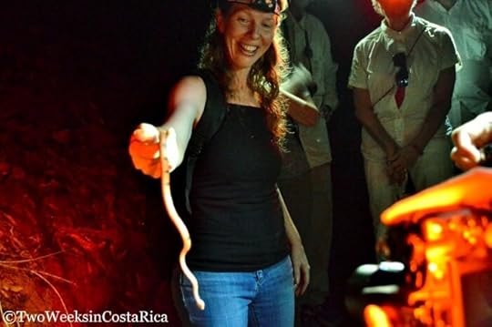 Why Costa Rica is Perfect Destination Families - Night Tours