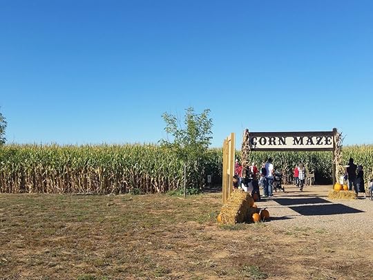 new mexico corn maze