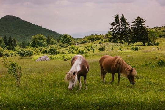 Grayson Highlands State Park