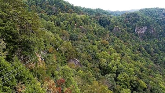 Breaks Zipline Virginia