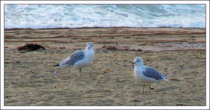 Photo by Judith Ann Monahan