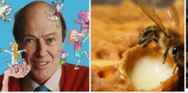 Screenshot_2018_08_11_16_39_42_1