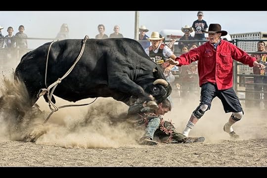 Image result for bull riding photos