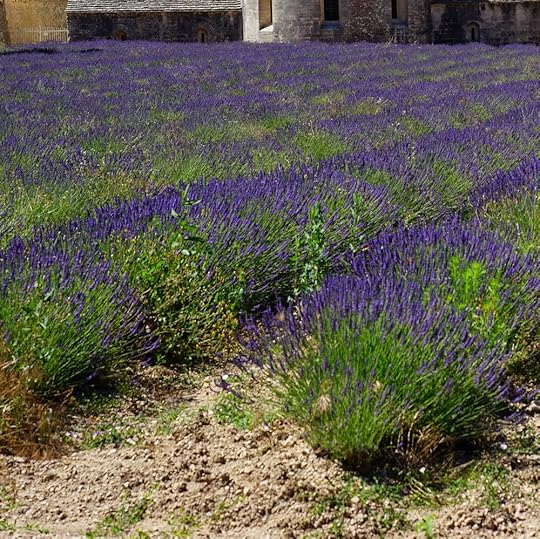 Monastery Garden Pixabay Cropped Twice.jpg