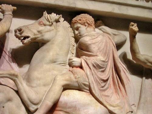  photo Perdiccas_zpsbdd3b96a.jpg