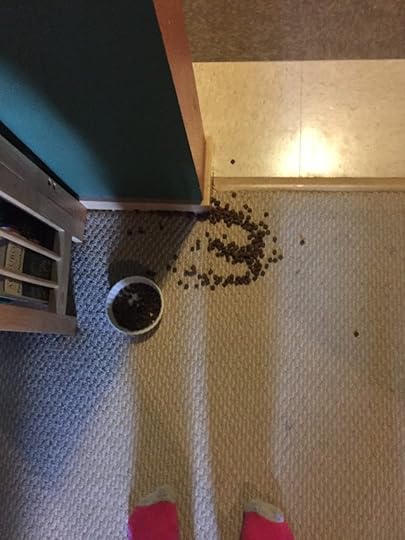 What does it mean? 3 or M or W? Or could it mean: Three monsters invading from the west?